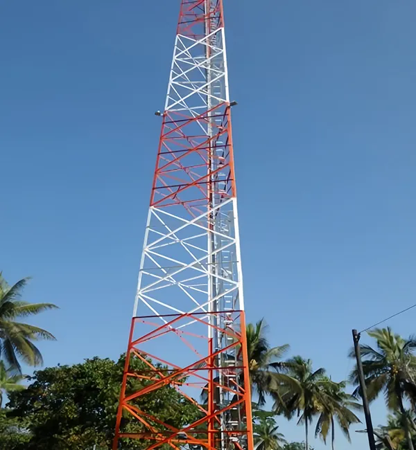 Application and Adaptability