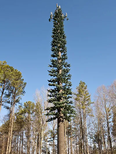Pine Tree Communication Tower