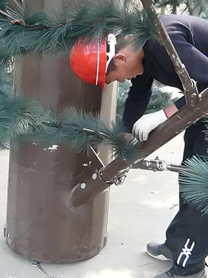 Verificação das conexões