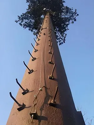 Inspeção final da aparência