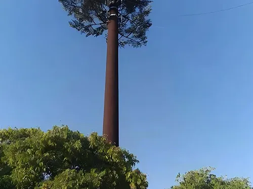 Torre de telecomunicação em pinheiro de 25m