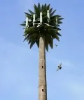 Torre de telecomunicação camuflada (Palm Tree Tower)