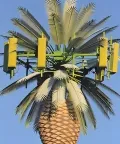 Torre de telecomunicação camuflada (Palm Tree Tower)