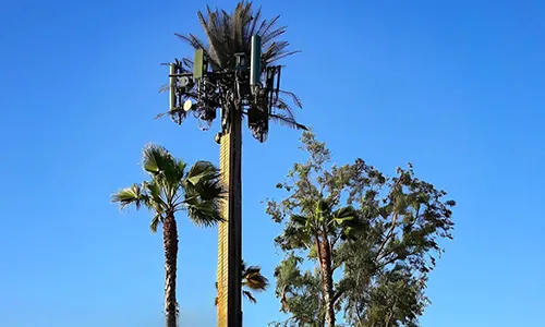 Torre de telecomunicação camuflada (Palm Tree Tower)