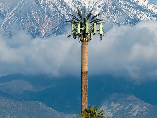 Torre de telecomunicação em palmeira instalada em uma área de grande altitude