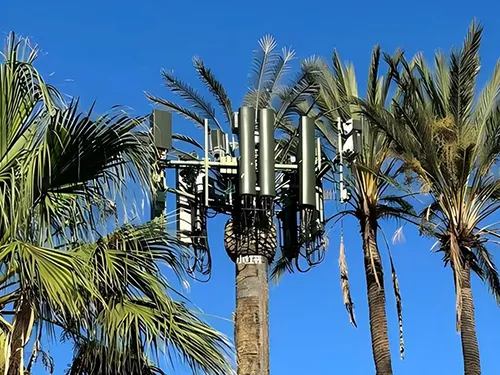 Torre de telecomunicação em palmeira